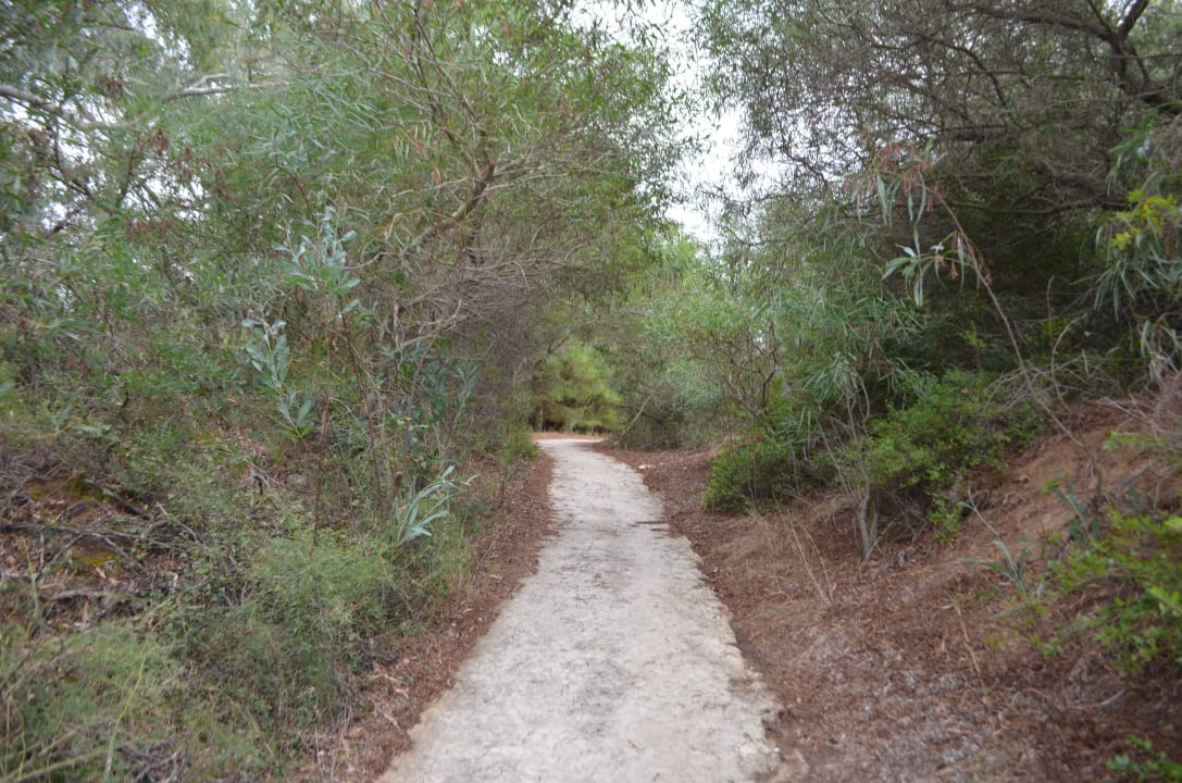 Droga na plaze Ilaria Hotel