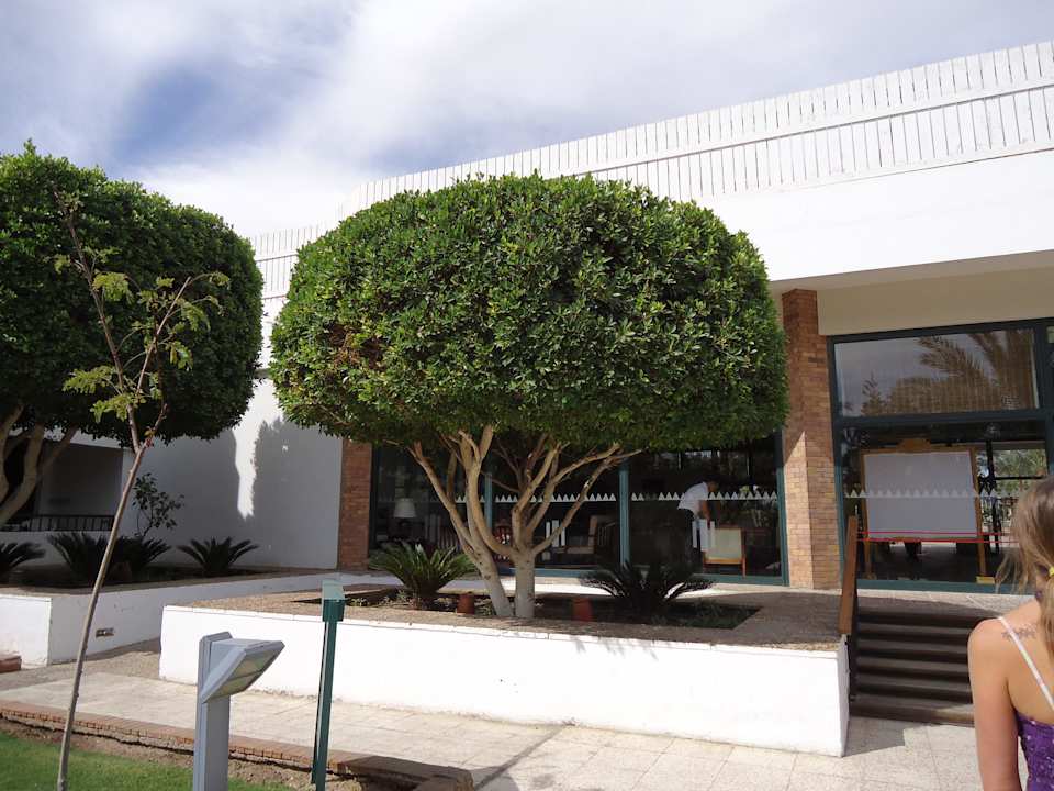 Hauptgebäaude/Lobby Ghazala Beach