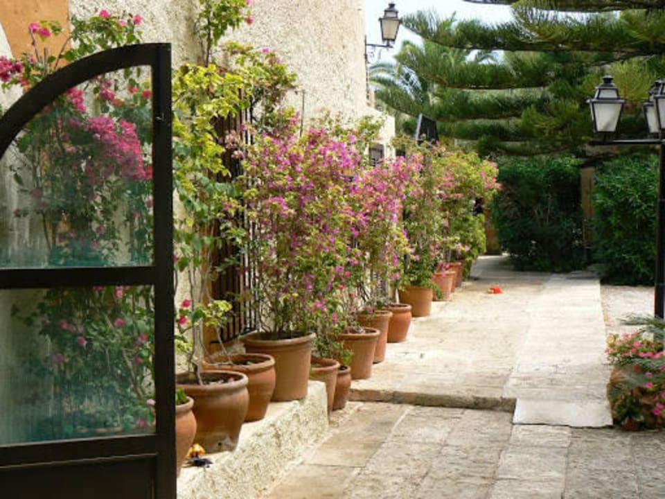 Vor dem Hauptgebäude Finca Hotel Predio Son Serra