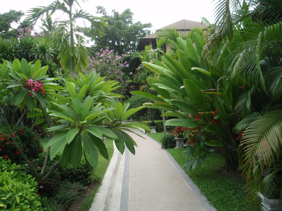 Weg im Garten The Fair House Beach Resort