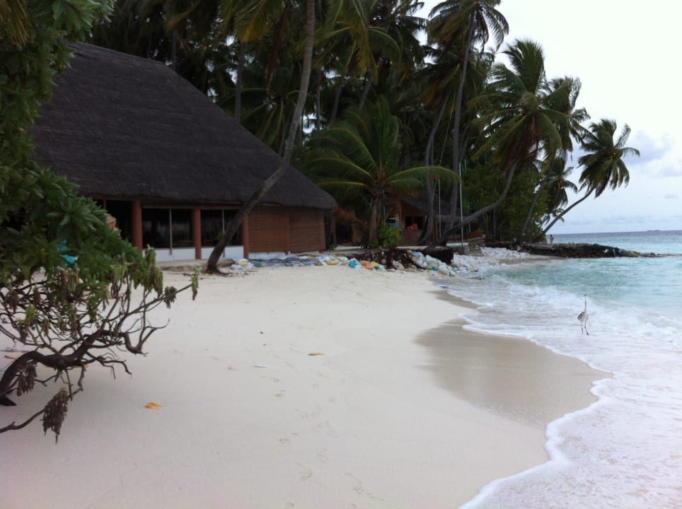 Blue Laggon Bar-der Strand kommt zurück... Fihalhohi Maldives