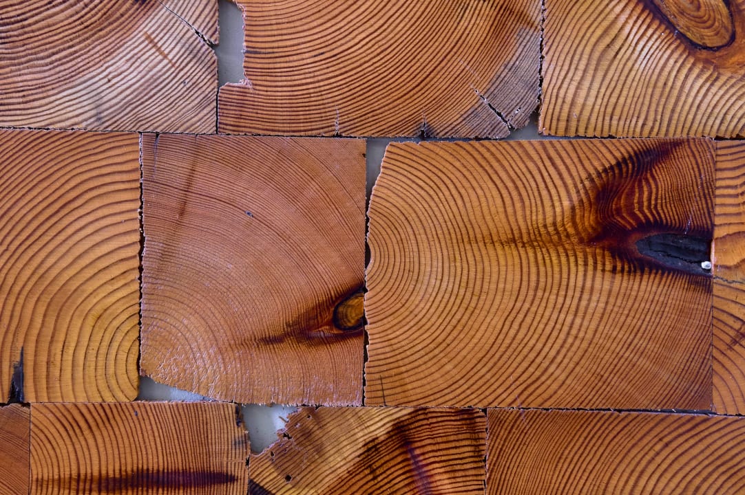 Zimmer My Story Hotel Tejo