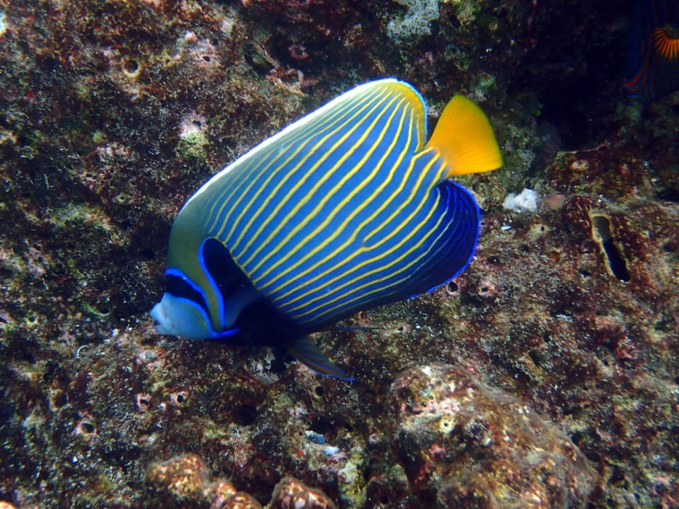 Sonstiges Thulhagiri Island Resort
