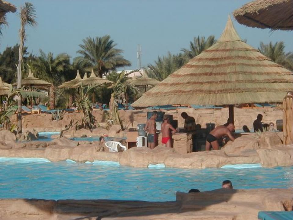 Die neue Poolanlage mit Bar Beach Albatros Resort