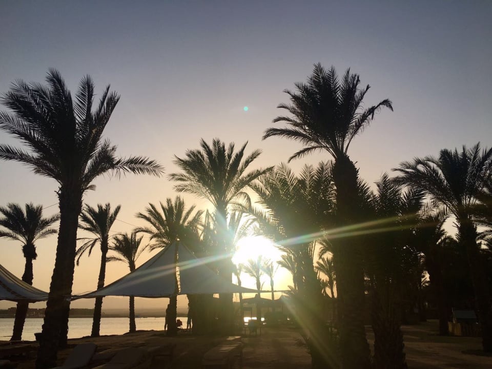 Strand Palm Royale Resort - Soma Bay