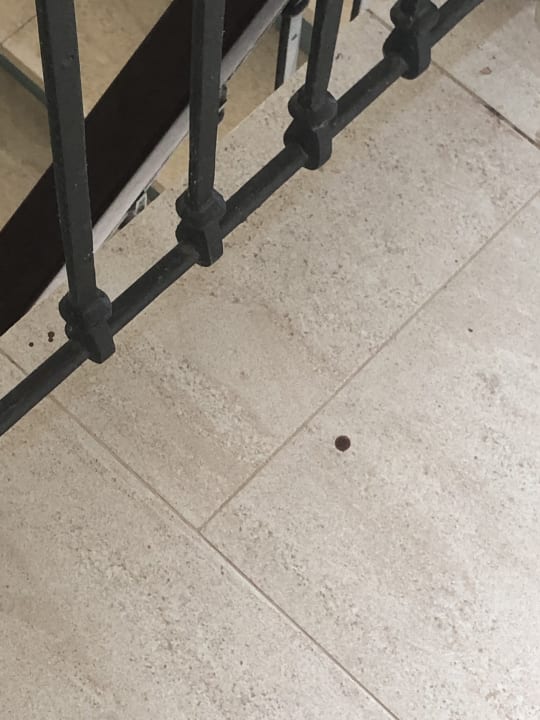 Sonstiges Lopesan Costa Bávaro Resort, Spa & Casino