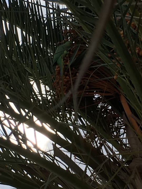 Pool Apartamentos LIVVO Morromar