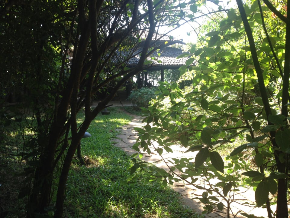 Blick zum rerstaurant Wildernest Nature Resort