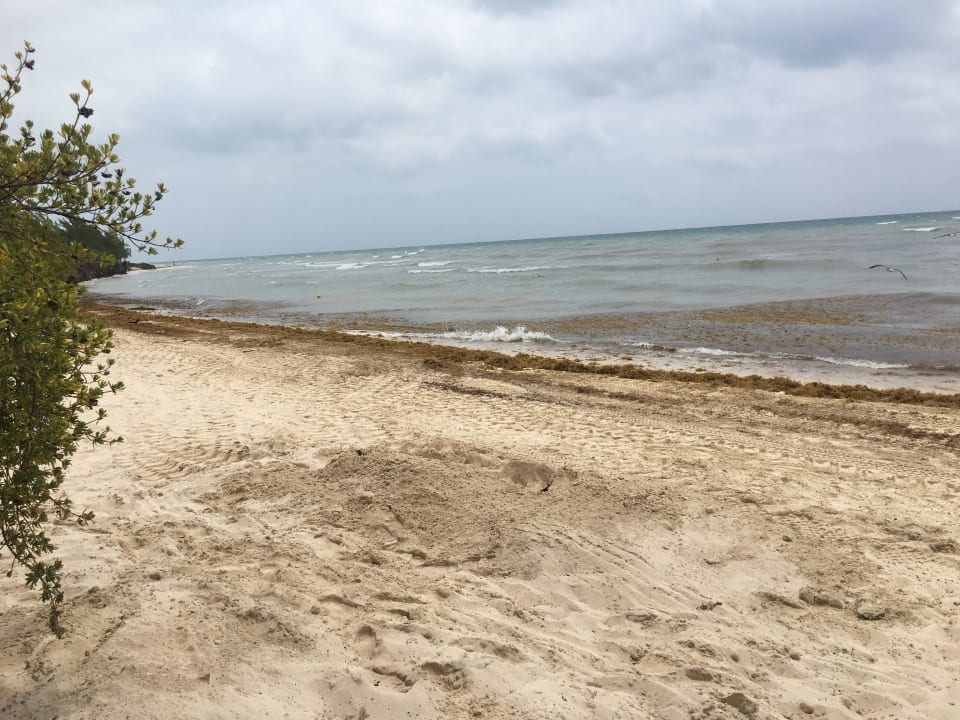 Strand Platinum Yucatan Princess All Suites & Spa Resort - Adults only