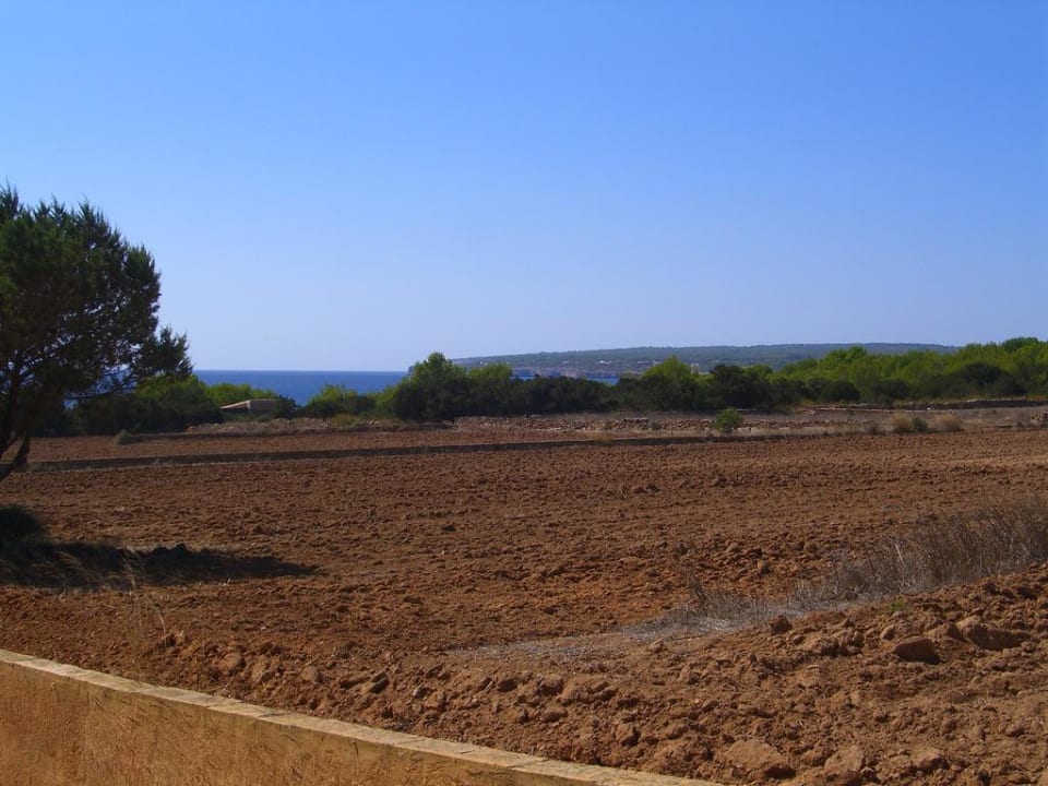 Ausblick  Hotel La Palmera
