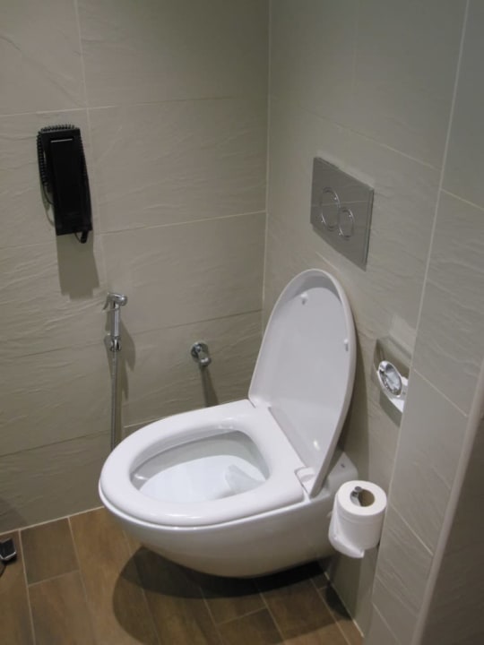 Toilette Hilton Garden Inn Ras Al Khaimah