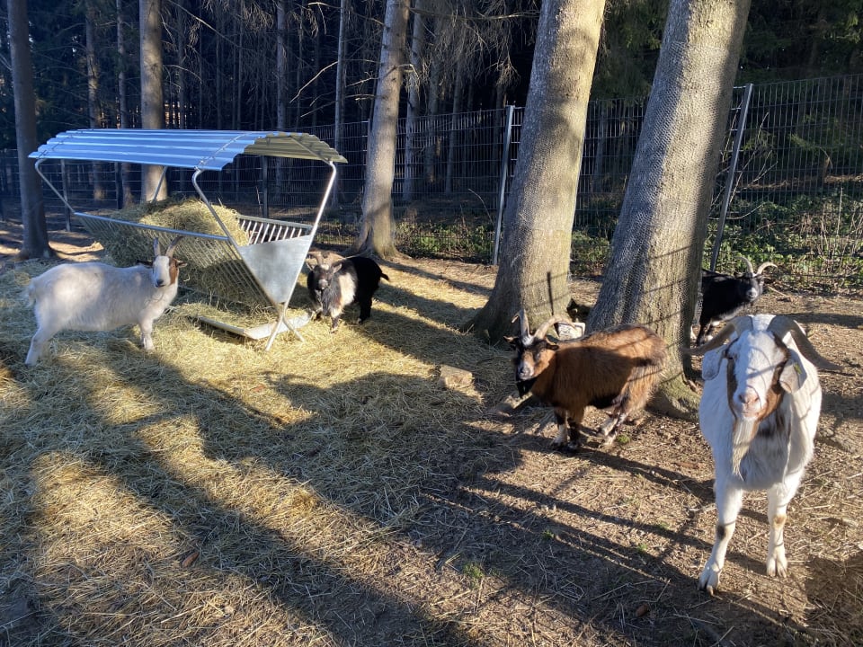 Sport & Freizeit ULRICHSHOF Nature · Family · Design