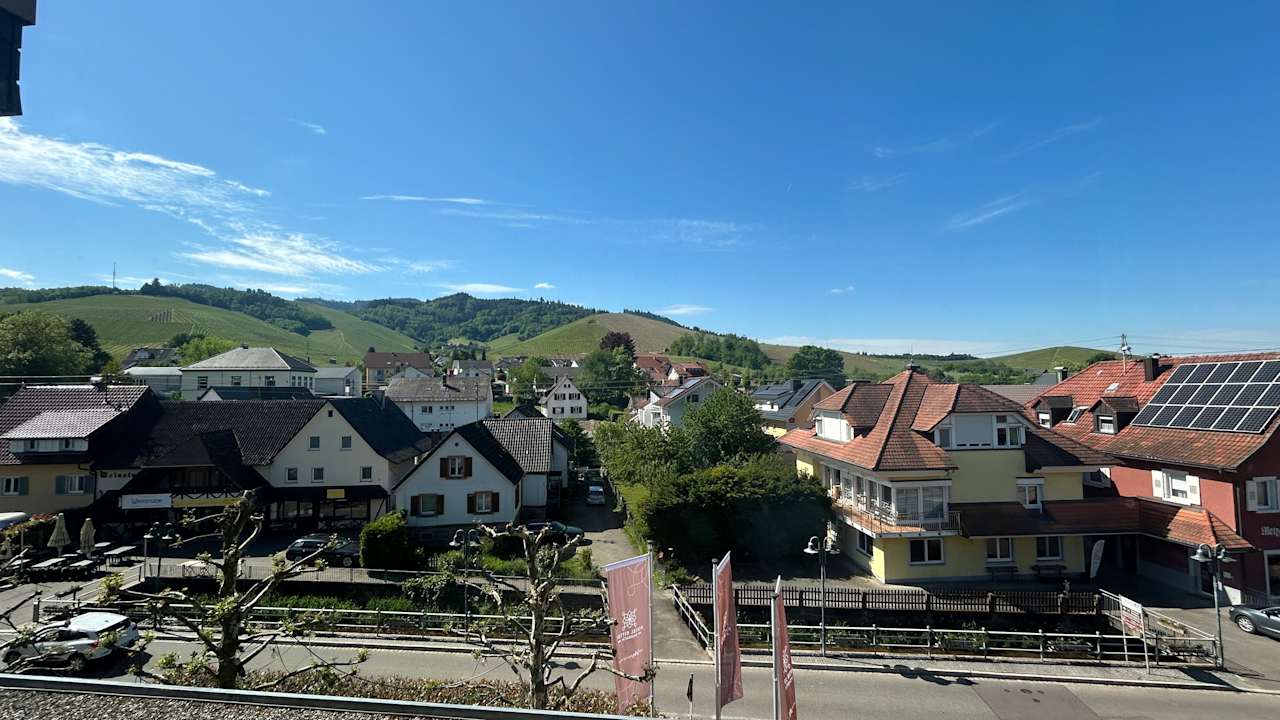 Ausblick Hotel Ritter Durbach