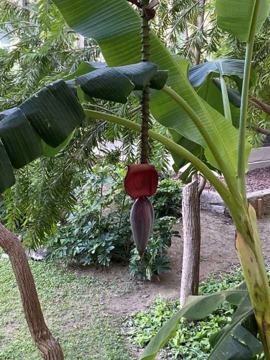 Gastro Melas Resort Hotel