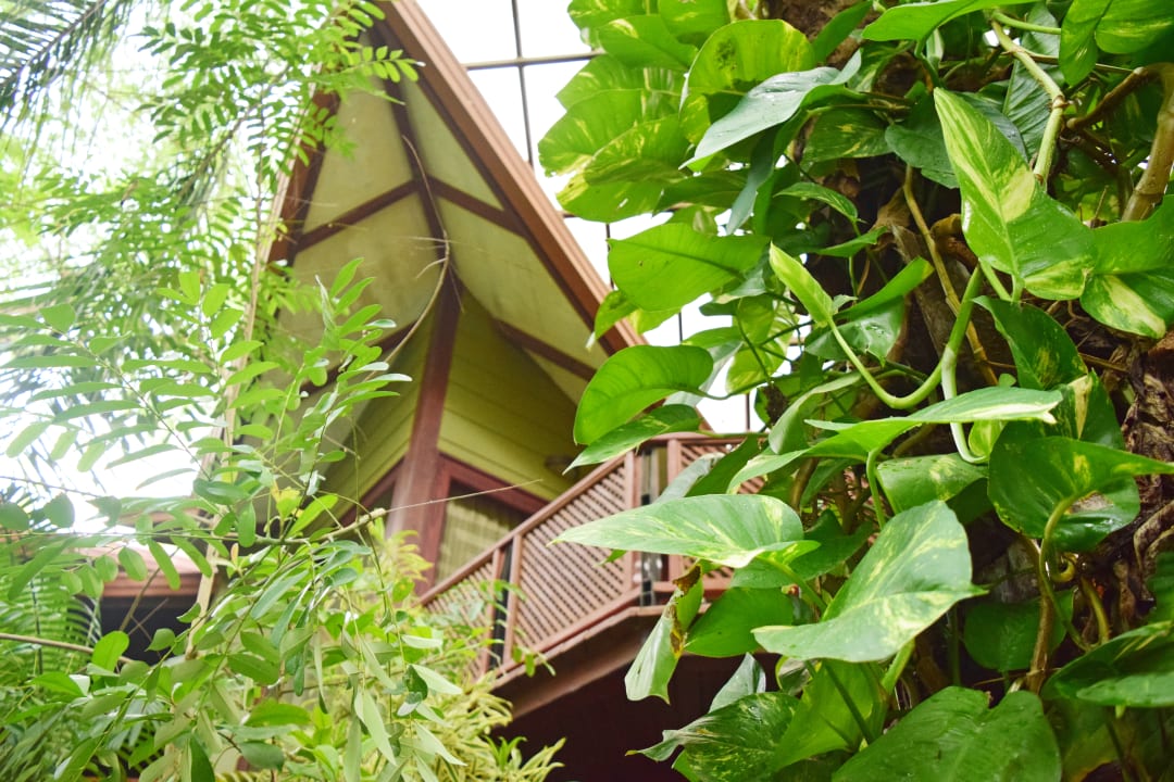 Außenansicht Hotel Bosque del Mar