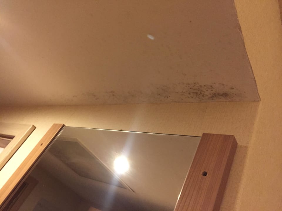 Schimmel im Schlafzimmer Kaya Artemis Resort