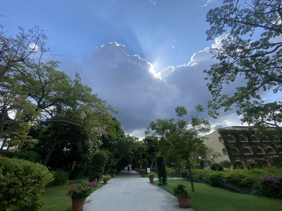 Gartenanlage TUI MAGIC LIFE Calabria