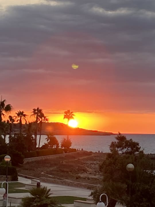 Außenansicht Aparthotel Playa Dorada