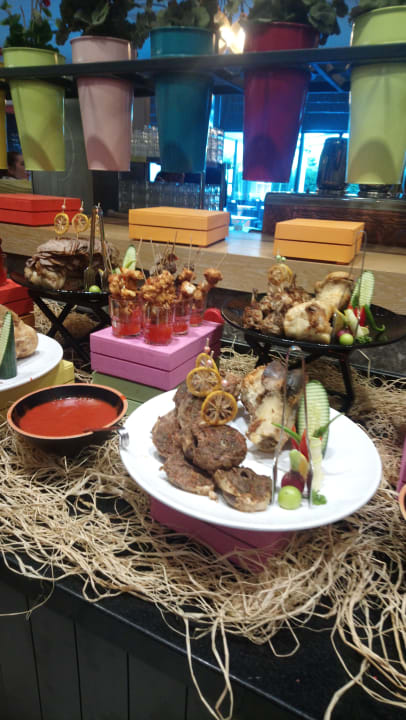 Gastro Seashell Vega