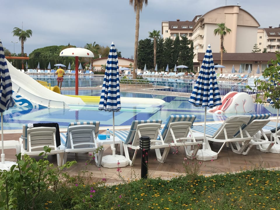 Pool Lonicera Resort & Spa Hotel