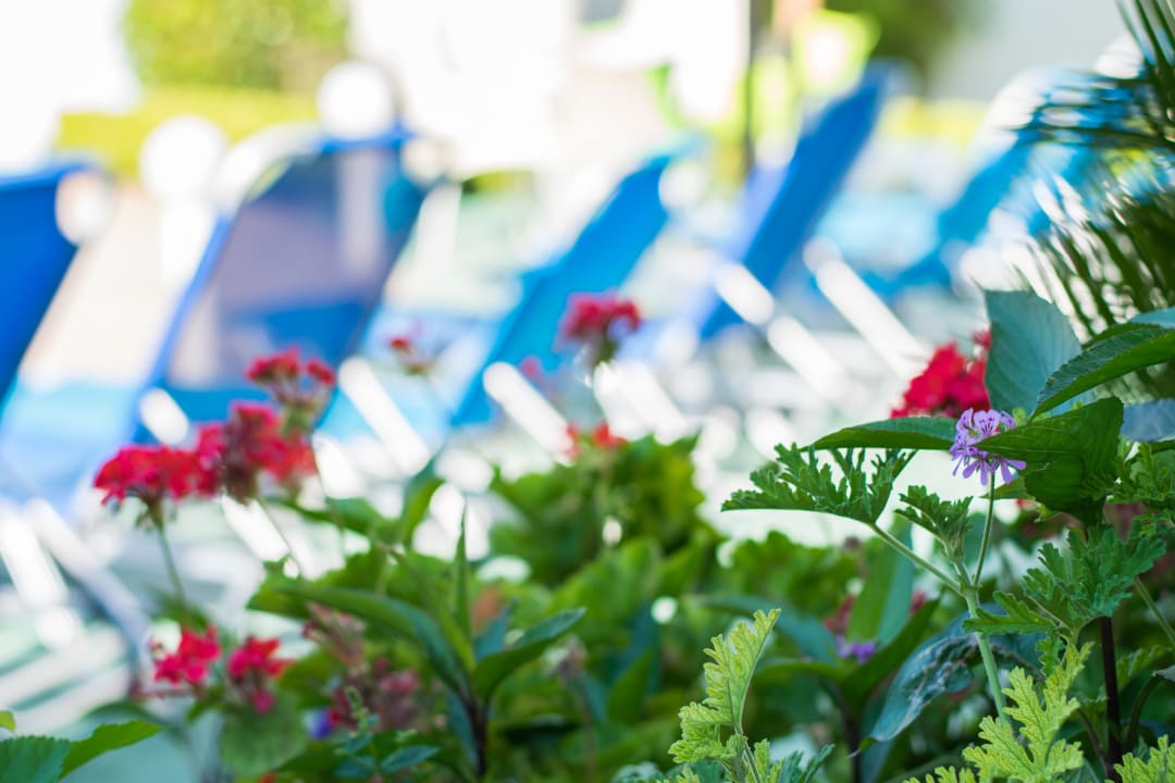 Pool Kos Divine Hotel & Suites