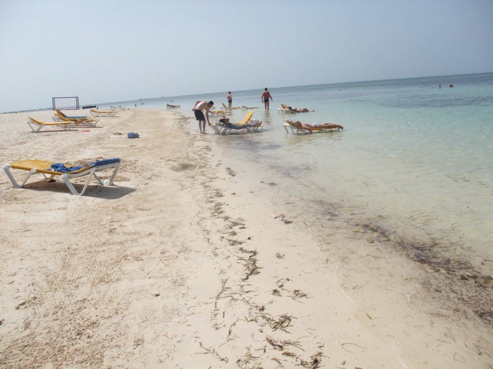 Traumstrand? Catalonia Punta Cana - All Inclusive