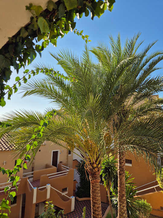 Ausblick Hotel Aldea Cala Fornells 2