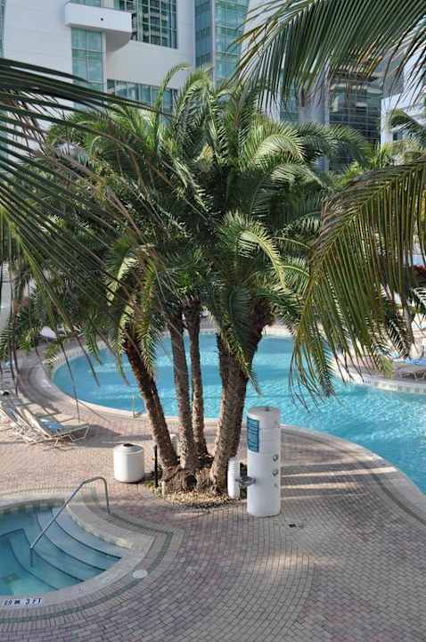 Poolanlage Diplomat Resort & Spa Hollywood, Curio Collection by Hilton