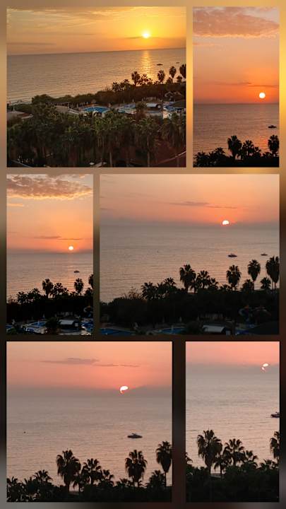 Gartenanlage Hotel Royal Garden Beach