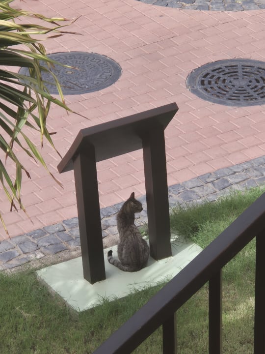 Außenansicht Meliá Laguna Beach