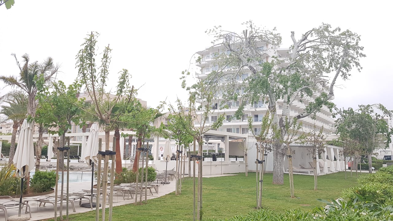 Gartenanlage BG Hotel Caballero