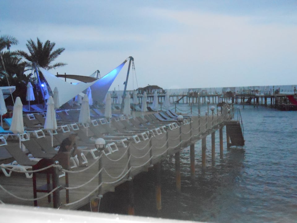 Steg Granada Luxury Okurcalar