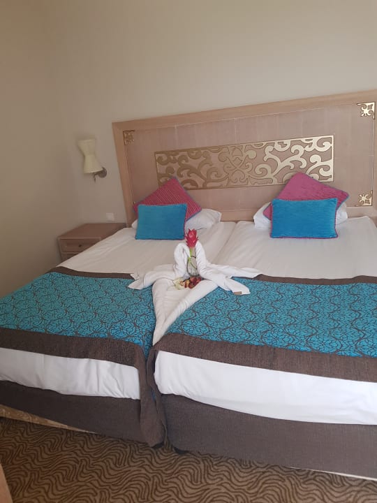 Zimmer Crystal Family Comfort Collection