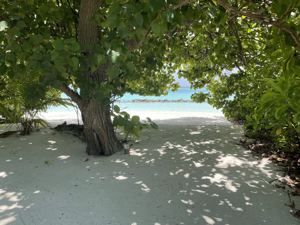 Ausblick Hurawalhi Island Resort Maldives