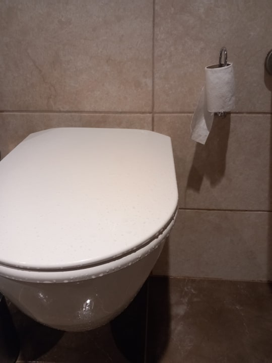 Zimmer Well Palace Side