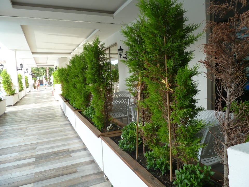 Ausblick Castival Hotel