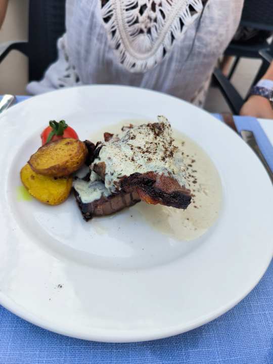 Gastro Seashell Vega