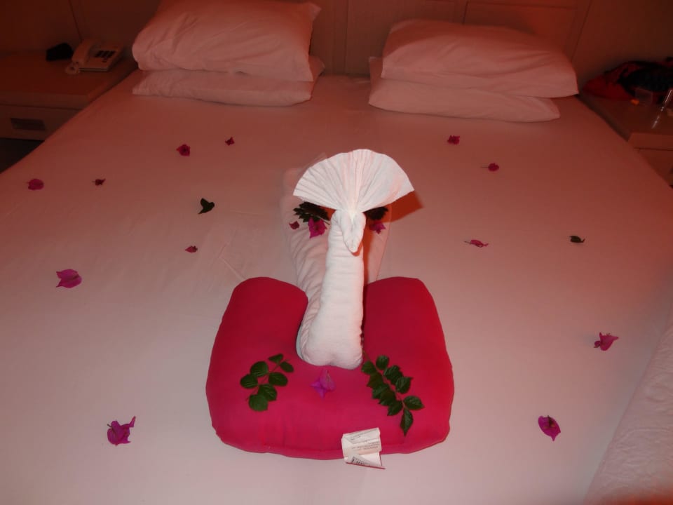 Von der Putzfrau Hotel Gardenia Beach