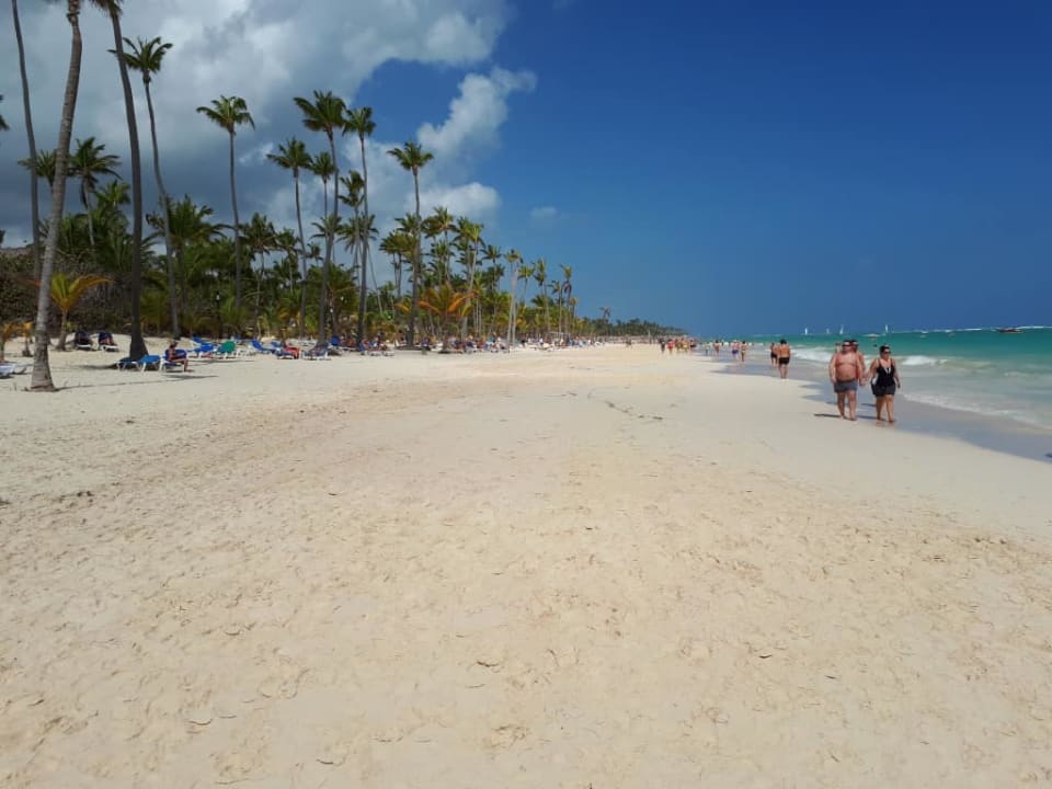 Plaża Hotel Riu Palace Macao - Adults only