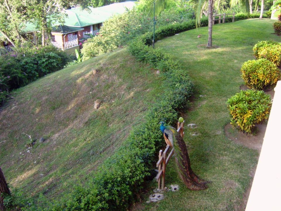 Unser Wecker Grand Decameron Panama, A Trademark All Inclusive Resort