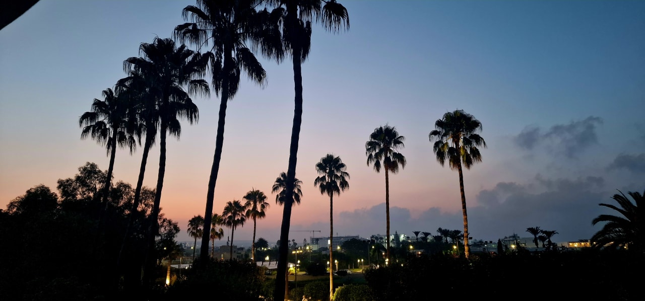 Ausblick Hotel Nissi Beach Resort