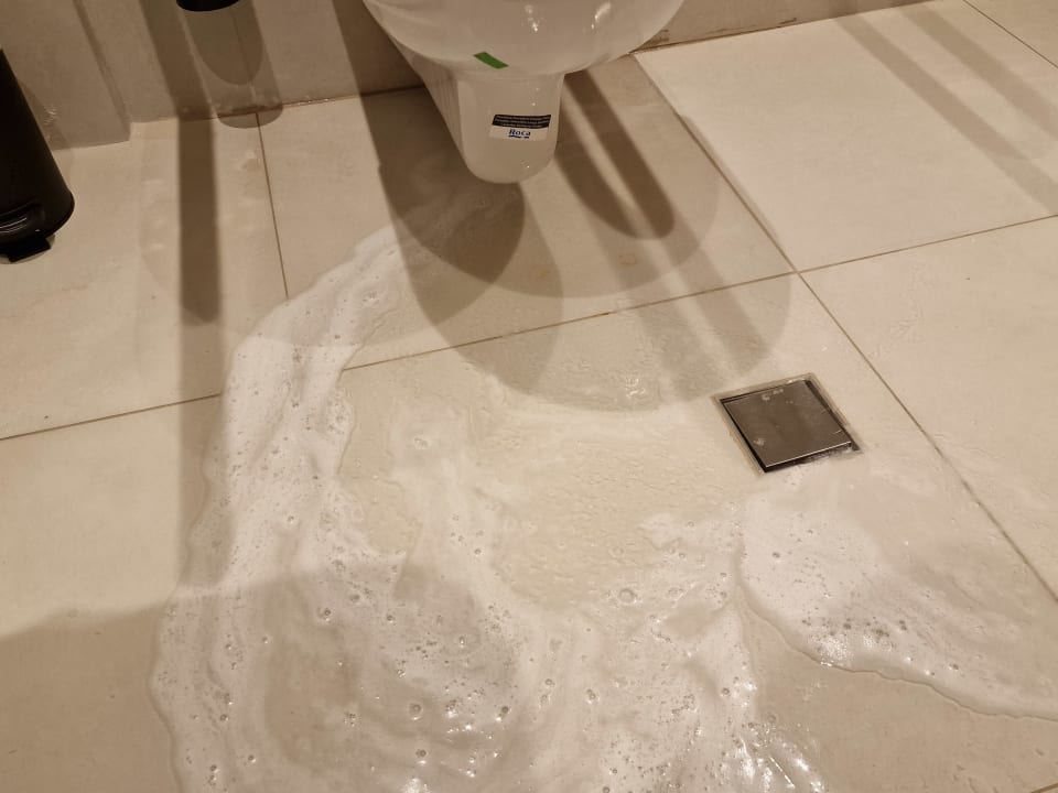 Zimmer Domes Aulūs Zante, Autograph Collection