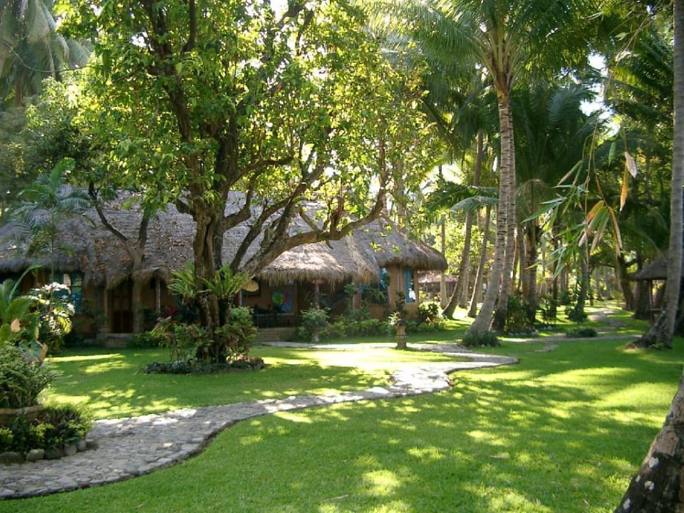 Bungalow2 Hotel Gaia Oasis