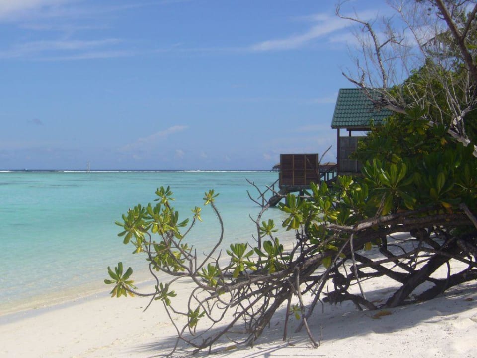 Strand bei Wasserbungalows Meeru Maldives Resort Island