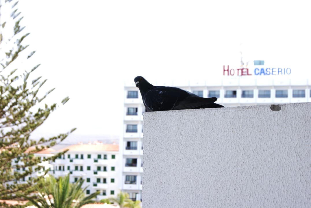 Balkon LABRANDA Marieta - Adults only