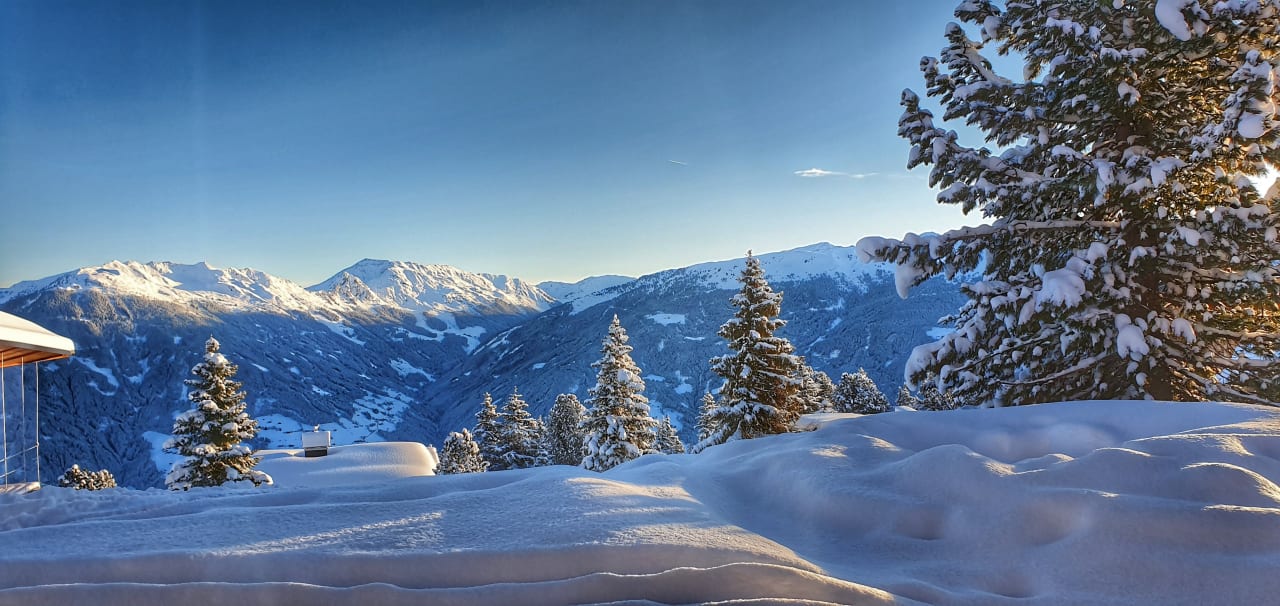 Gartenanlage Alpin-Ferienwohnungen Hochzillertal