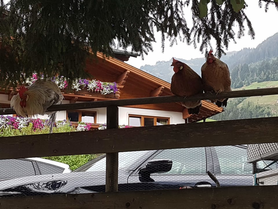 Sonstiges Hotel Tauernhof