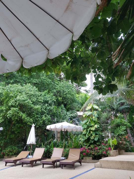 Pool The Fair House Beach Resort