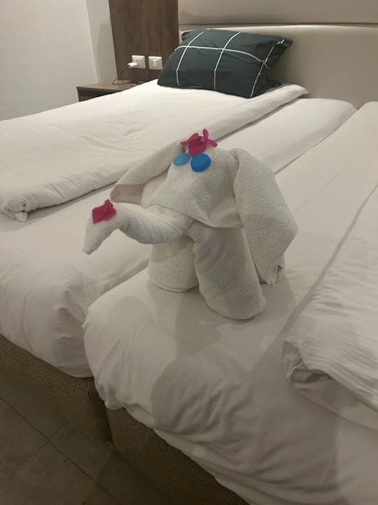 Zimmer Pickalbatros Sea World Resort - Marsa Alam