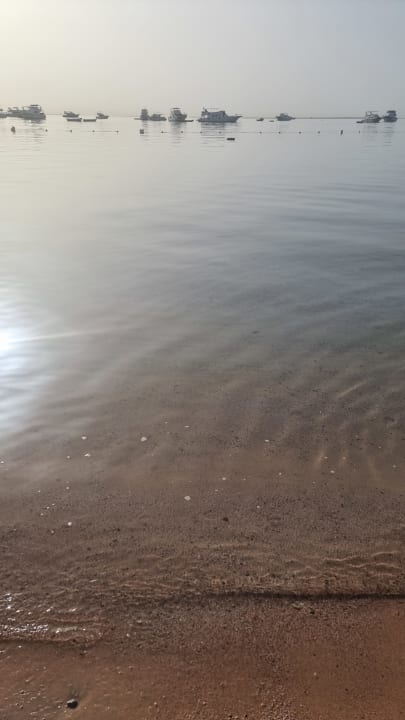 Strand The Grand Palace - Adults only